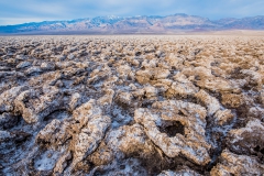 _8100722