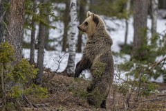 10_Z9I3053-Enhanced-NR