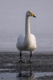 10_Z9I4880