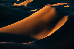 17.-7916-7920