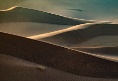 19.-781011415