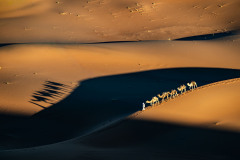 22.-_Z087745