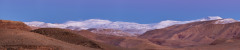 1.-LANDSCAPE-1
