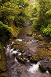 Limestone-rainforest-river-1b