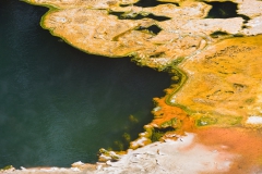 Orakei-thermal-pool-and-bacteria-2c