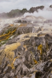 Te-Pui-geyser-plateau-1h