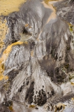 Te-Pui-geyser-plateau-detail-1e