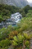 Fjordland-river-landscape-1a