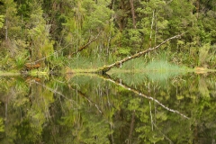 Kahurangi-mirror-lake-1b