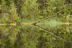Kahurangi-mirror-lake-1b