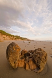 Moeraki-boulders-dawn-7b