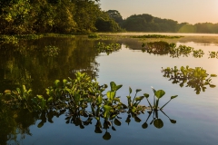 Early-morning-river-4