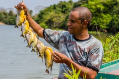 Santos-with-piranha's-2b