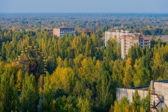 _8003752