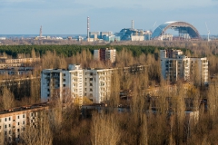 _8005615