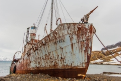 Grytvikken-whaler-4b