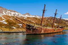 Ocean-harbor-Bayard-wreck