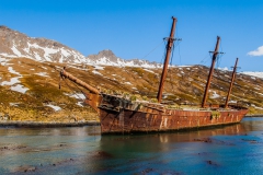 Ocean-harbor-Bayard-wreck