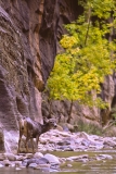 1_Zion-2