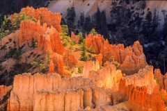 Bryce-Canyon-1