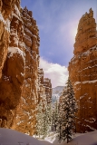 Bryce-Canyon-17