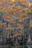 20_Z084351-2