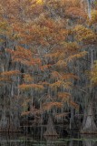 20_Z084351-3