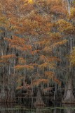 20_Z084351-4