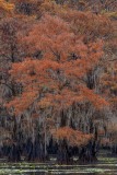 29_Z084762-4